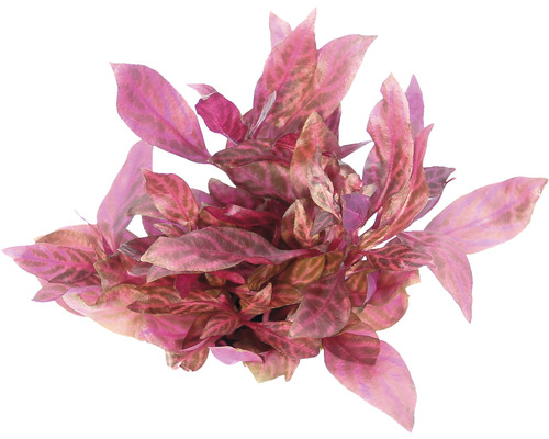 Umelá akváriová rastlina s listami