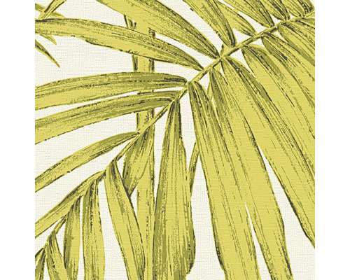 Tapeta so vzorom palmových listov