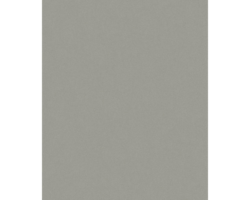 Sivý, jednofarebný povrch ako pozadie.