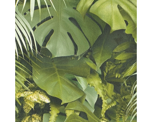 Detail tapety s motívom tropických listov