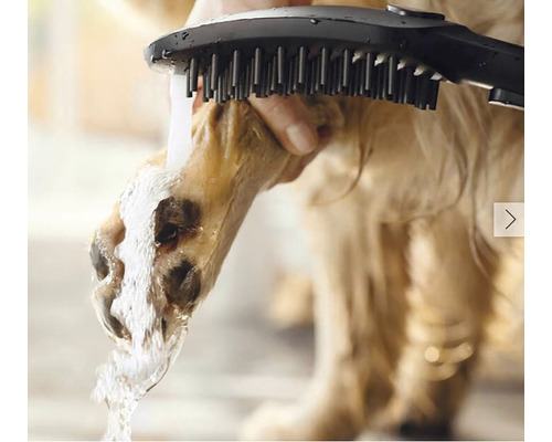 Psia labka čistená kefou a vodou