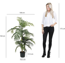 Umelá areková palma v kvetináči, výška 150 cm