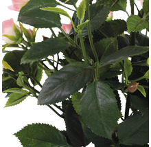 Detail umelej ruže s listami