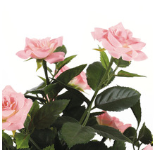 Dekoratívna umelá ruža so zelenými listami.