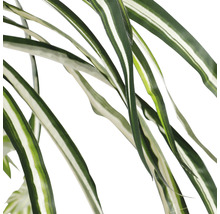 Detailný záber listov umelej zelenej ľalie