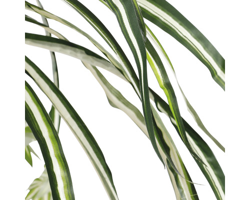 Detailný záber listov umelej zelenej ľalie