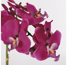 Umelá orchidea s kvetmi