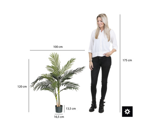 Rozmery umelej arekovej palmy v kvetináči vedľa ženy