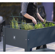 Vyvýšený záhon s bylinkami a rastlinami v záhrade