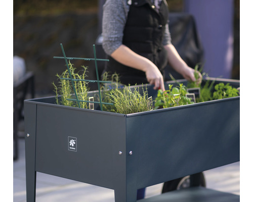 Vyvýšený záhon s bylinkami a rastlinami v záhrade