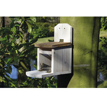 Kŕmidlo pre veveričky z dreva pripevnené na strome