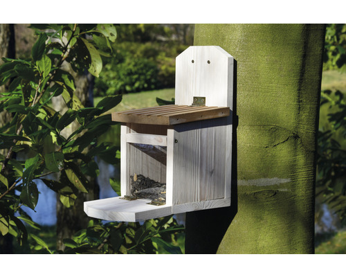 Kŕmidlo pre veveričky z dreva pripevnené na strome