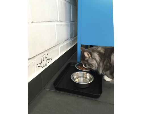 Mačka je vedľa misky s vodou na podložke.