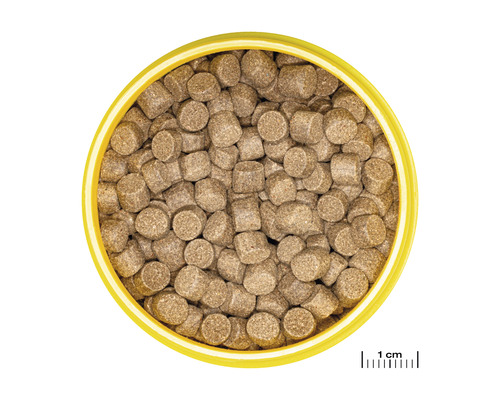 Granulované krmivo pre axolotly 8-20 cm pre JBL ProNovo Lotl Grano XL 250 ml