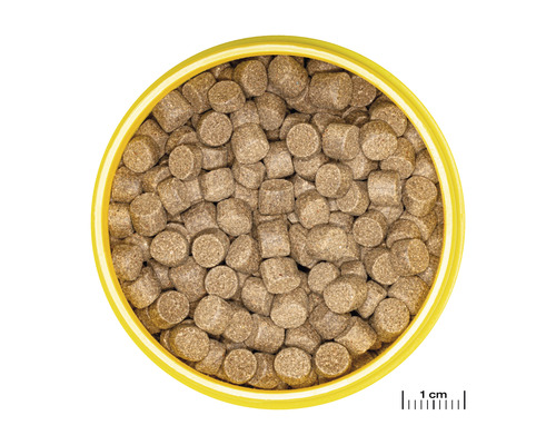 Granulované krmivo pre axolotly 8-20 cm pre JBL ProNovo Lotl Grano XL 250 ml Granulované krmivo pre axolotly 8-20 cm pre JBL ProNovo Lotl Grano XL 250 ml