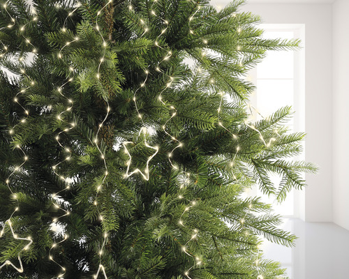 Detail vianočného stromčeka s hviezdicovou svetelnou reťazou