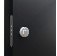 Vchodové dvere Economic M01 100P antracit-thumb-1