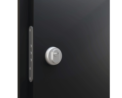 Detail dverí so zámkom a kovaním