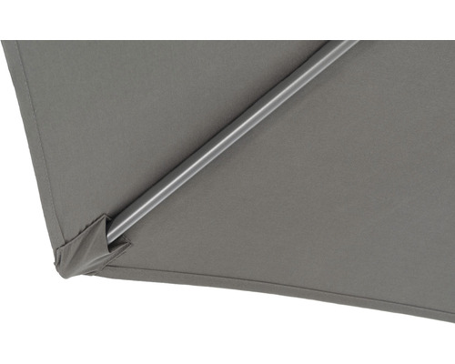 Detail slnečníka so slnečníkovým rebrom