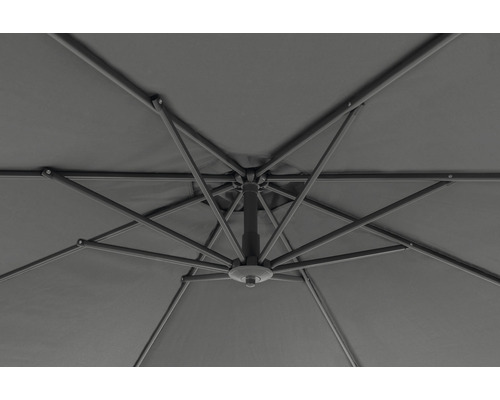 Pohľad zdola na slnečník s rebrami