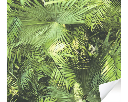 Tapeta s motívom paliem