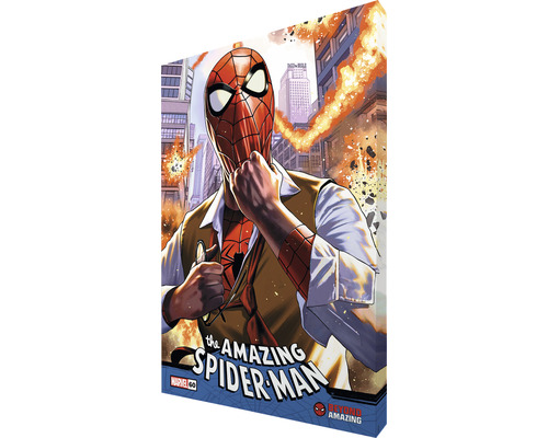 The Amazing Spider-Man obal komiksu