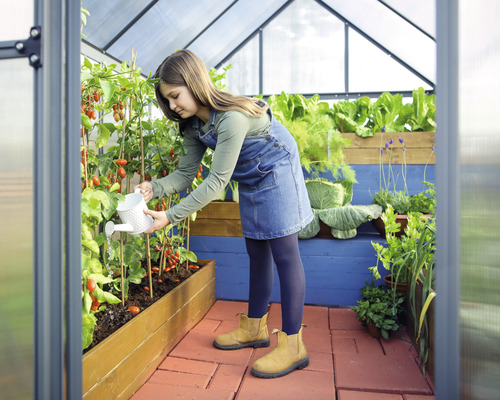 Dospievajúce dievča zalieva rastliny paradajok v skleníku so záhonmi šalátu a byliniek.