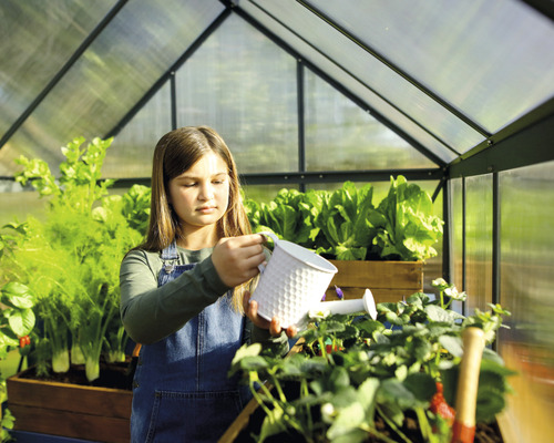 Dievča zalieva rastliny v skleníku krhlou. Pestujú sa šaláty, bylinky a jahody.