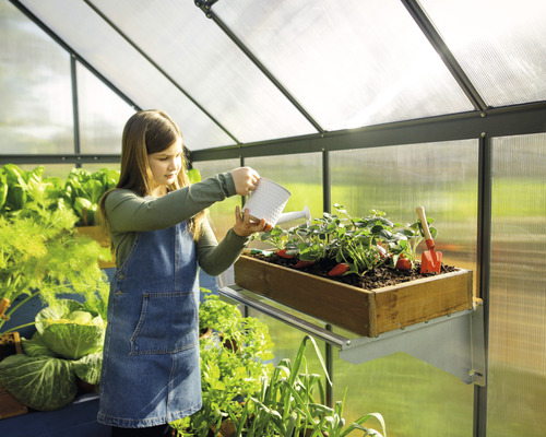 Dievča zalieva jahody v skleníku.