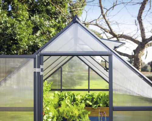 Skleník s otvorenými dverami a rastlinami vnútri.