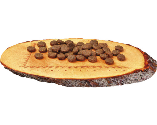 Krmivo pre psy na drevenej doske s centimetrovou stupnicou