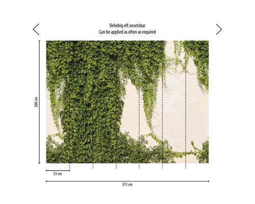 Tapeta so zeleným brečtanom, rozmery 371 cm x 280 cm