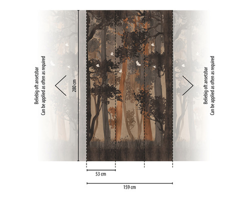 Foto tapeta s motívom lesa a rozmermi