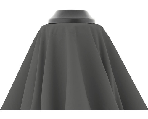 Detailný pohľad na slnečník