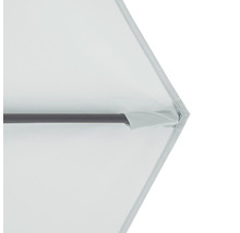 Detailný pohľad na slnečník