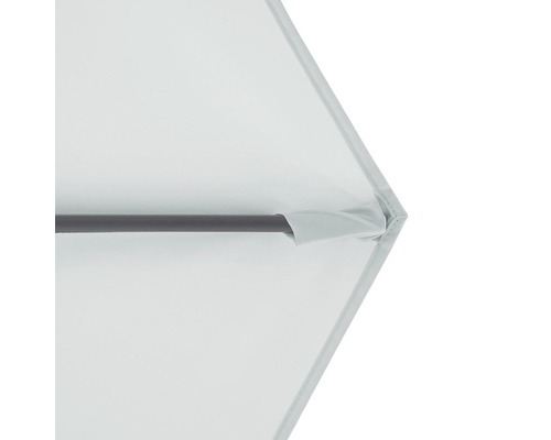 Detailný pohľad na slnečník