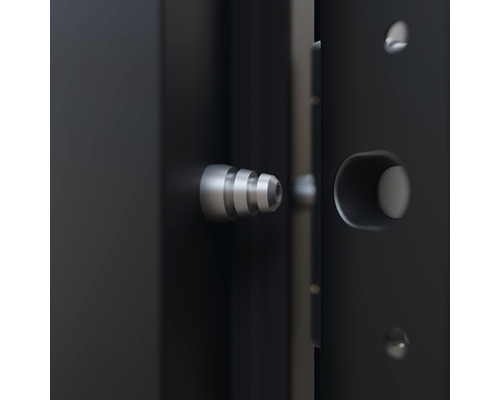 Detailný pohľad na čierne dvere so strieborným dverným záverom