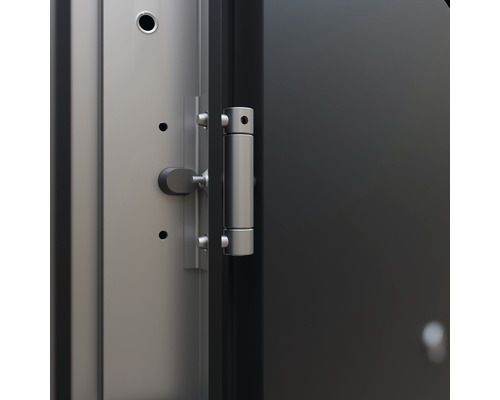 Detail dverí s pántom dverí