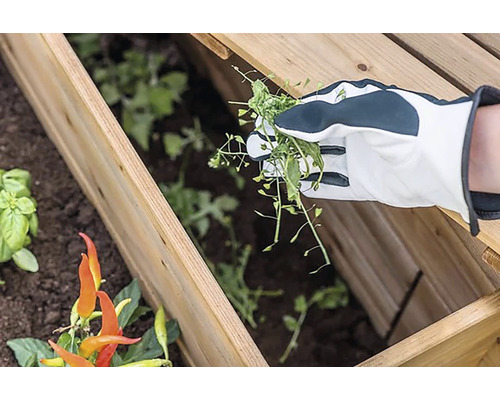 Záhradníčenie vo vyvýšenom záhone s odstraňovaním buriny osobou v záhradných rukaviciach.