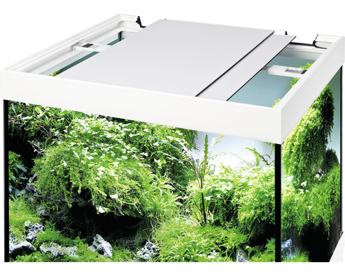 Akvárium s rastlinami a čiastočne otvoreným krytom