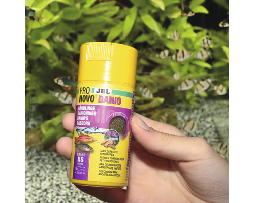 Krmivo pre ryby JBL Novo Danio v ruke