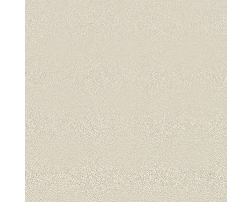 Svetlý, mierne štruktúrovaný interiérový náter