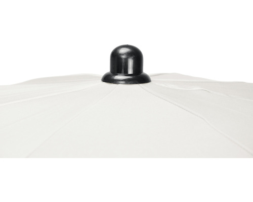 Detail bielej markízy s čiernym hrotom