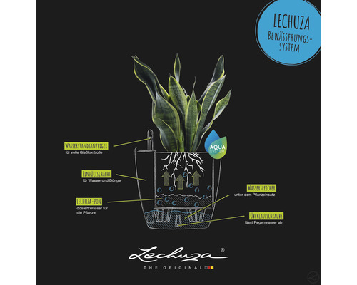 Grafické znázornenie zavlažovacieho systému Lechuza s rastlinou, ukazovateľom hladiny vody, plniacou šachtou, zásobníkom vody a prepadovou skrutkou.