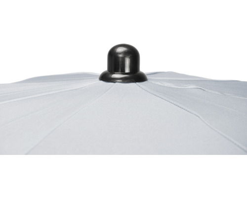 Detailný pohľad na slnečník s čiernym hrotom