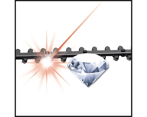 Reťaz nožníc na živý plot s diamantovým výbrusom