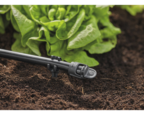 Zavlažovací systém s kvapkovacou rúrkou a šalátom v záhradnej pôde