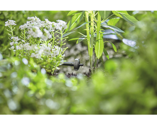 Kvapková závlaha v záhrade s rastlinami