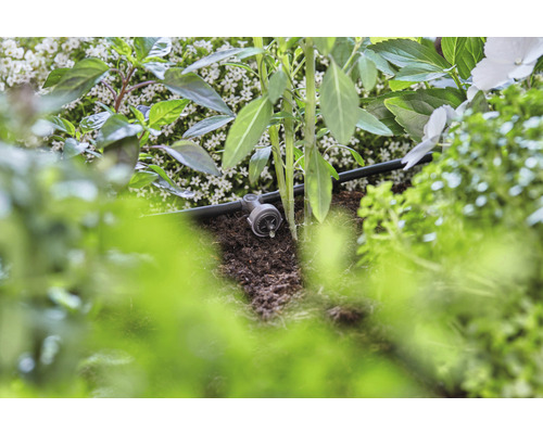 Kvapkový zavlažovací systém v prevádzke medzi rastlinami a zeminou