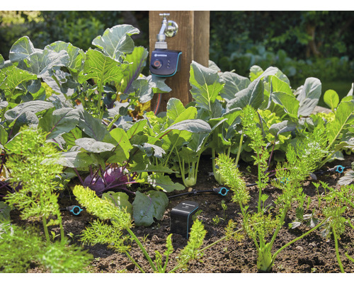 Zeleninová záhrada so zavlažovacím systémom a elektronickým ovládaním na vodovodnom kohútiku